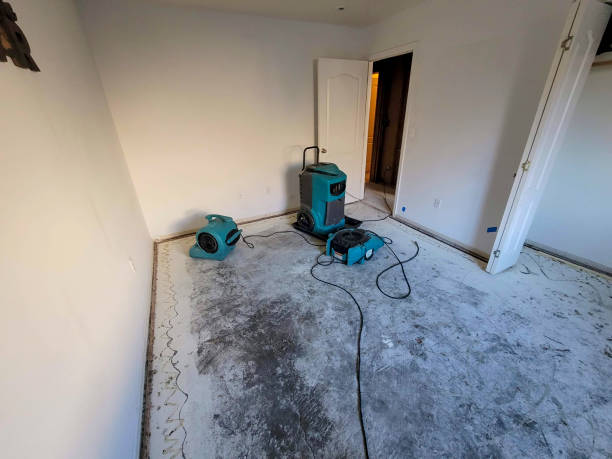 Professional Water damage restoration in NY