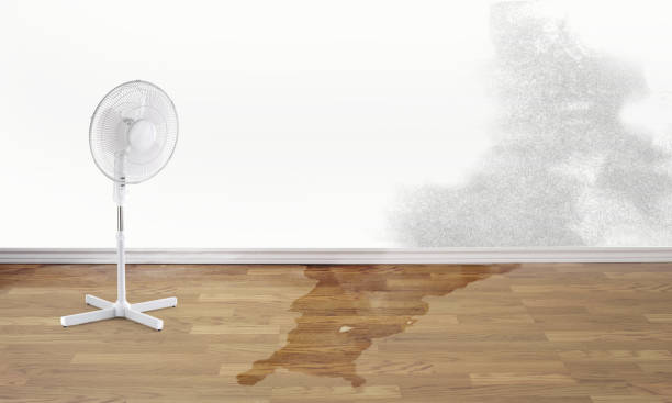 Best Water damage restoration services  in Shokan, NY