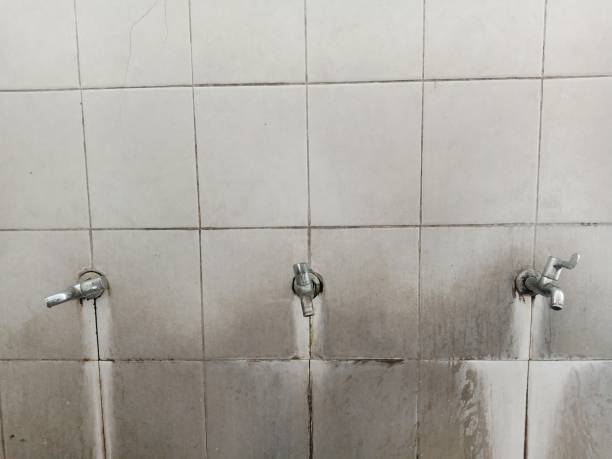 Best Local water damage restoration  in Shokan, NY