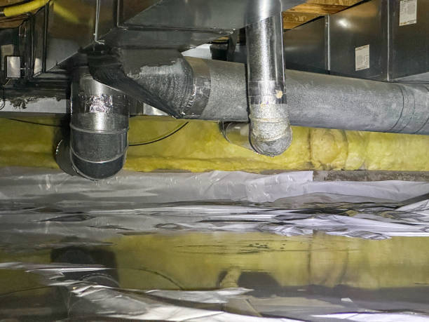 Water damage restoration mold remediation in NY