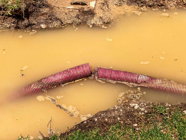 Best Residential water damage restoration  in Shokan, NY