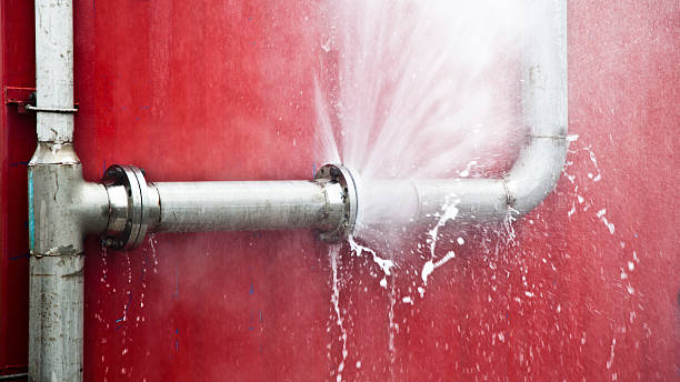 Best Carpet water damage restoration  in Shokan, NY