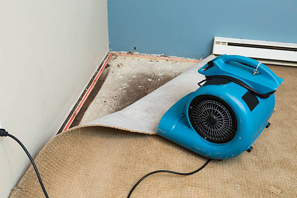 Best Water damage restoration near me  in Shokan, NY
