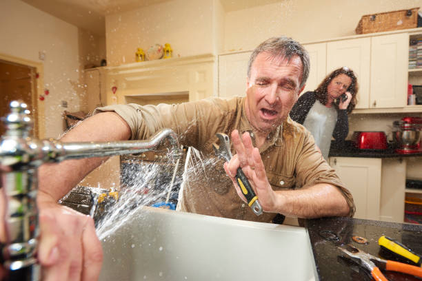 Best Fire Damage Restoration  in Shokan, NY